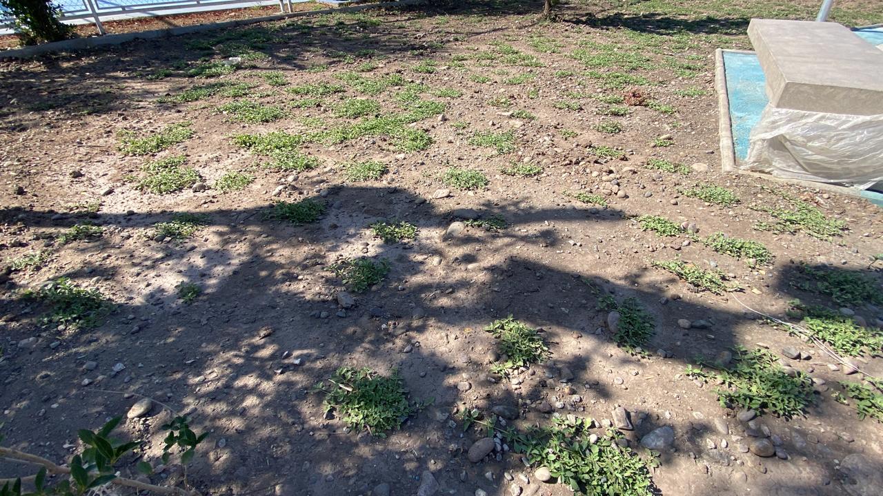 Proyecto Tiqui Tiqui 01 - avance