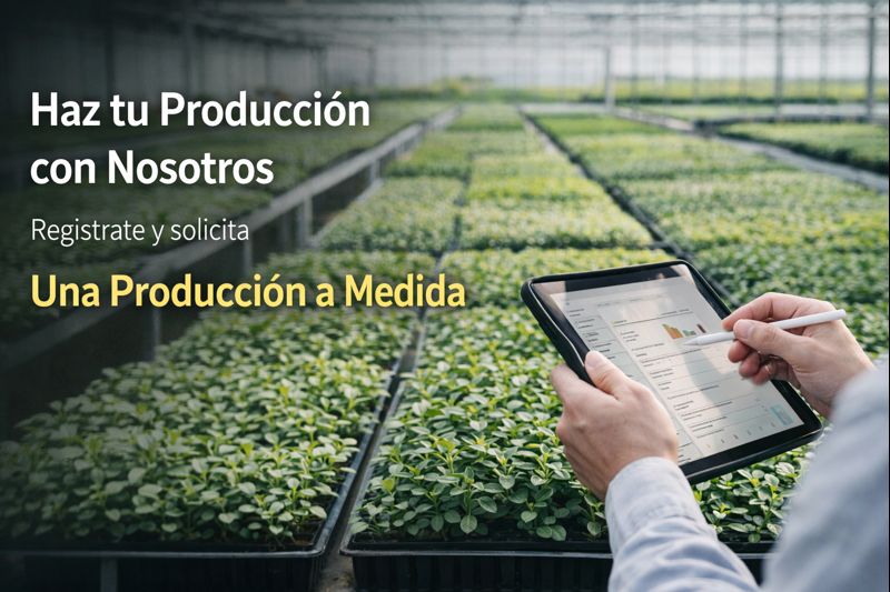 Producción de plantines a pedido — Vivero Roelplant