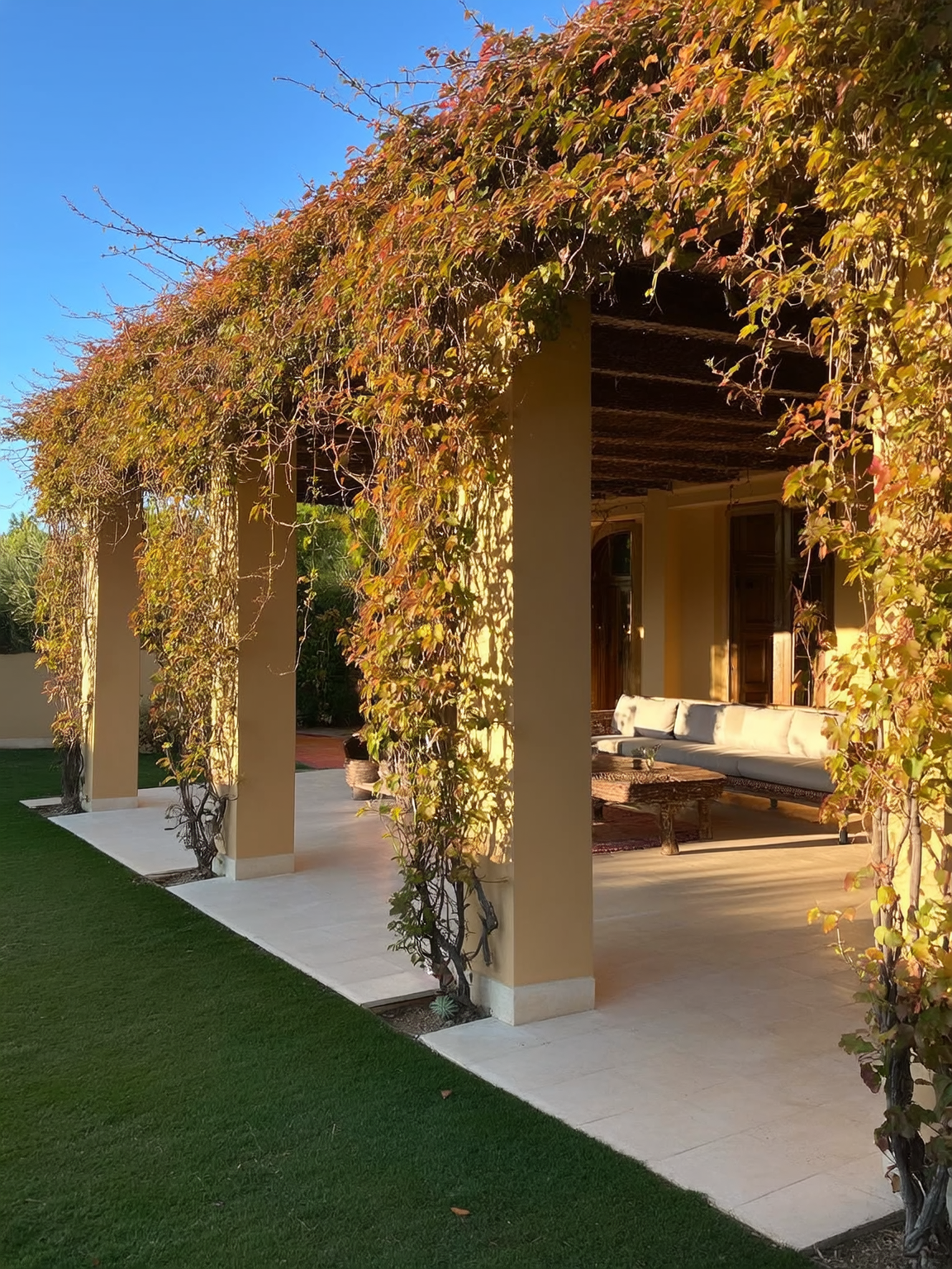 Veronica Brillantísima — arbusto bajo de exterior con follaje brillante, vivero Roelplant